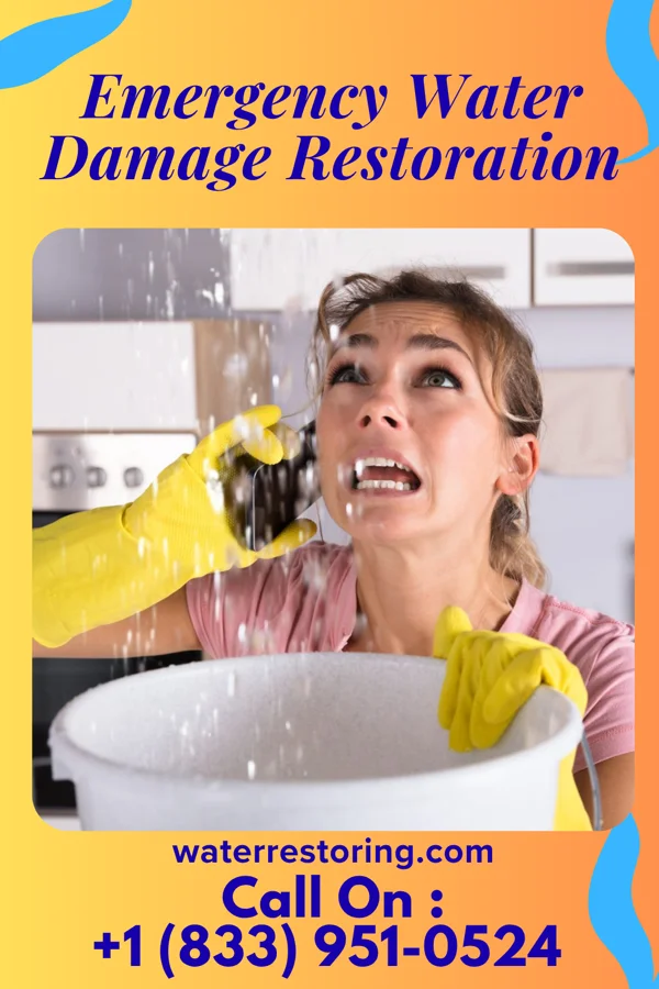 Emergency Water Damage Restoration in Bremerton, WA