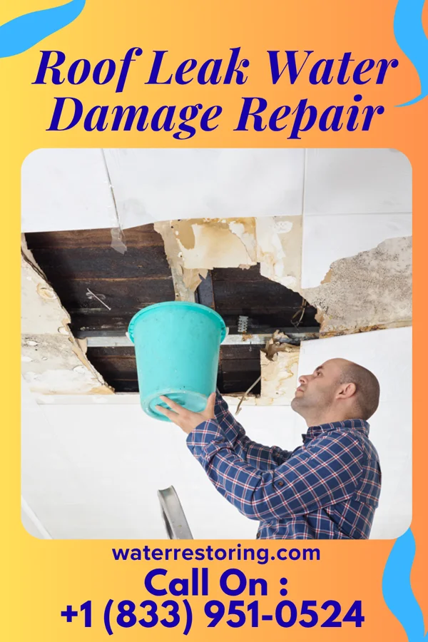 Roof Leak Water Damage Repair in Bremerton, WA